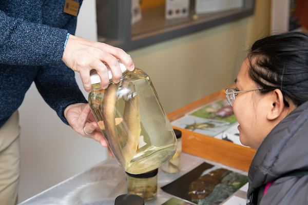 The Biology Department has several bird, mammal, and plant specimens that demonstrate different Darwinian properties are on display in the Rieke Lobby for the annual Darwin Day Celebration, Monday, Feb. 13, 2023, at PLU. (PLU Photo / Sy Bean)