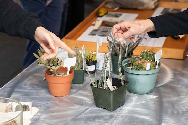 The Biology Department has several bird, mammal, and plant specimens that demonstrate different Darwinian properties are on display in the Rieke Lobby for the annual Darwin Day Celebration, Monday, Feb. 13, 2023, at PLU. (PLU Photo / Sy Bean)