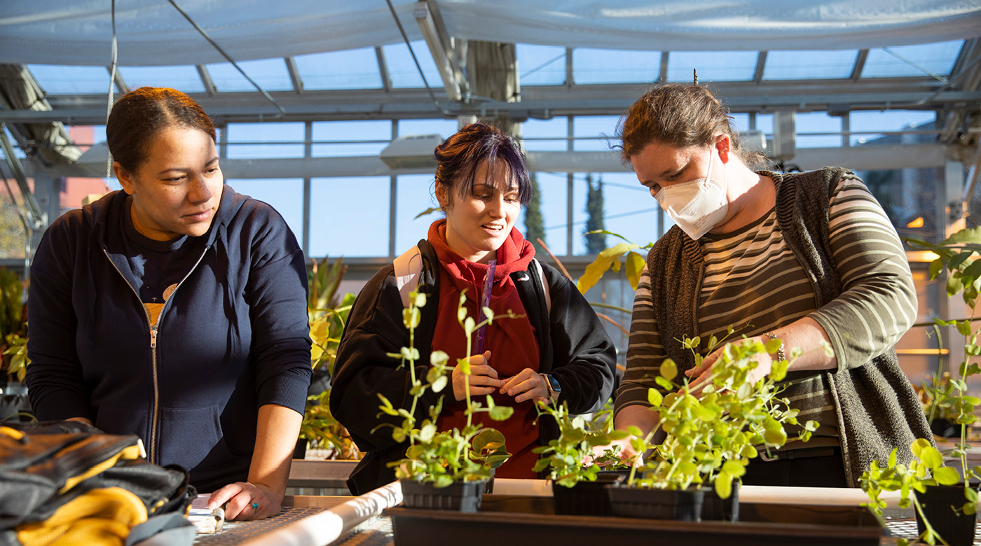 Professor Neva Laurie-Berry with two students in greenhouse.