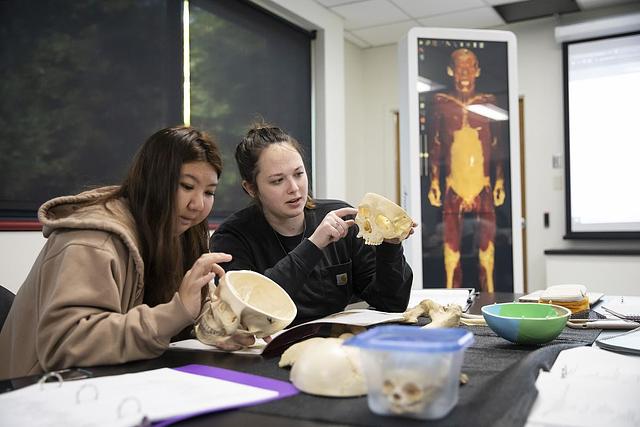 students in anatomy and physiology class