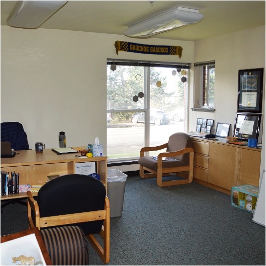 Image of South Office (perspective from couch)