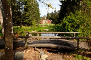 Bridge on lower campus at PLU on Tuesday, May 8, 2012. (Photo/John Froschauer)