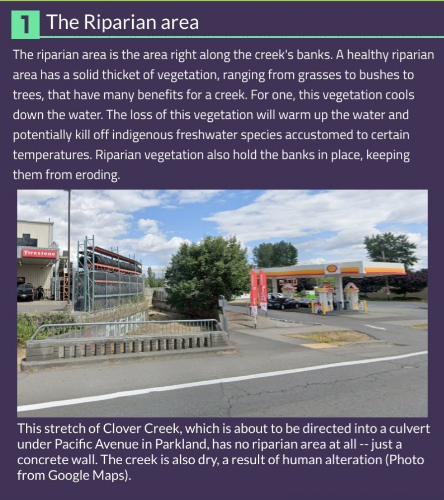 1-Riparian Area 1-Riparian Area