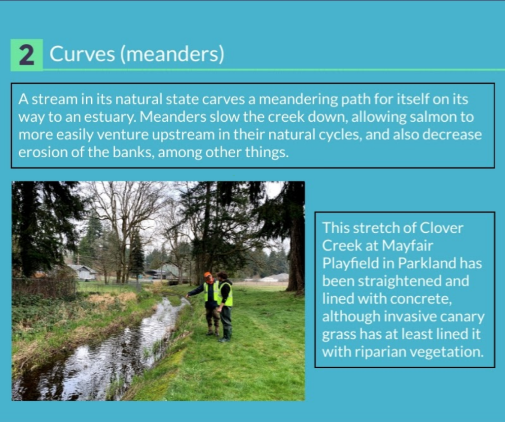 2-Curves 2-Curves