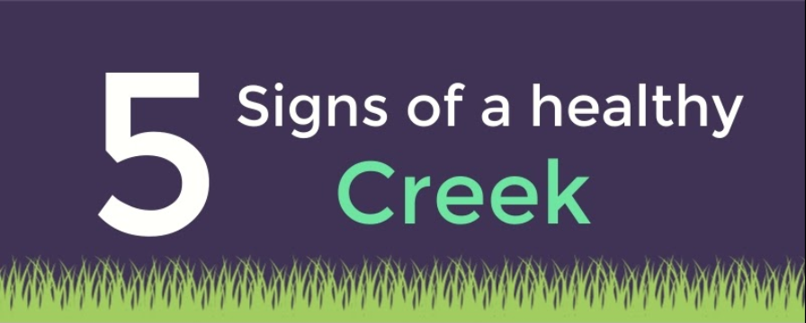 5 Signs of a Healthy Creek