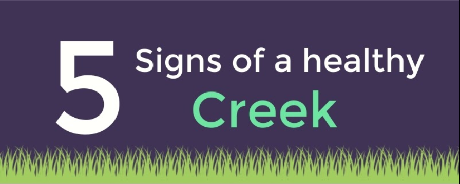 5 Signs of Healthy Creek 5 Signs of a Healthy Creek