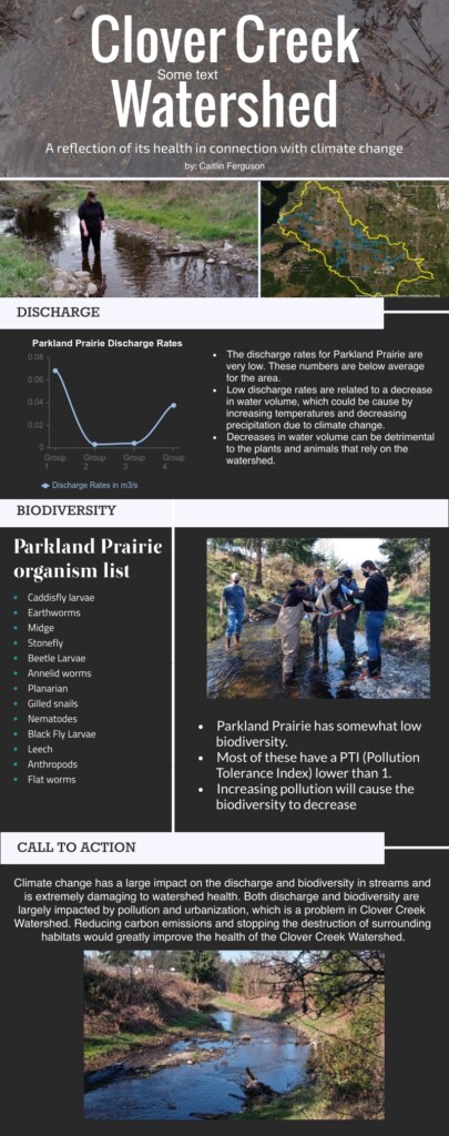 Caitlin Ferguson project photo Clover Creek Watershed - a reflection of its health