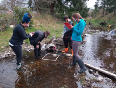 Class wading in Clover Creek