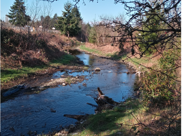 Clover Creek image