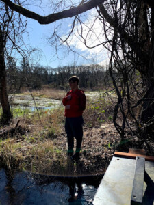 Clover Creek Restored Site