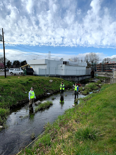 Clover Creek running under a bridge on 133rd St near Pacific Ave