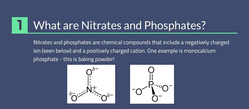 How do Nitrates and Phosphates Impact 1