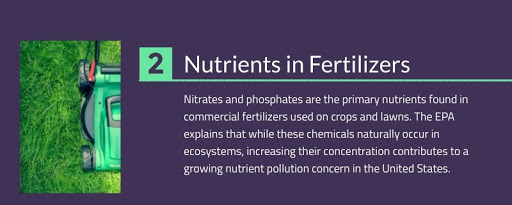 How do Nitrates and Phosphates Impact 2