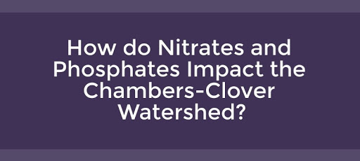 How do Nitrates and Phosphates Impact