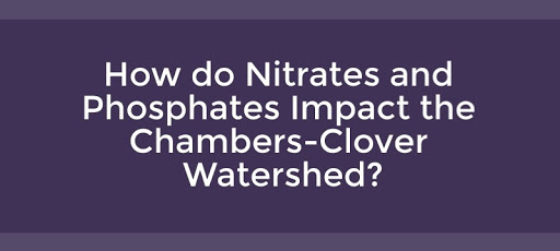 How do Nitrates and Phosphates Impact How do Nitrates and Phosphates Impact
