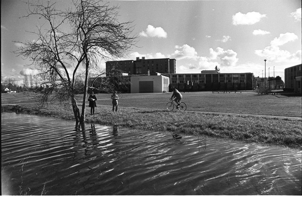 Clover Creek on lower campus by Pflueger Hall