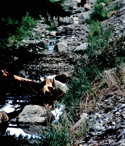 photo of creek