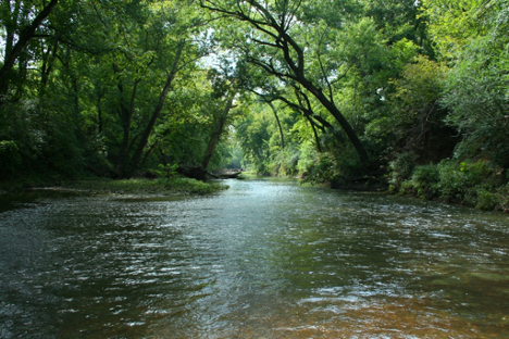 Picture of a huge creek