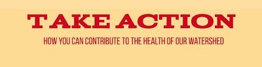 Take Action Take Action