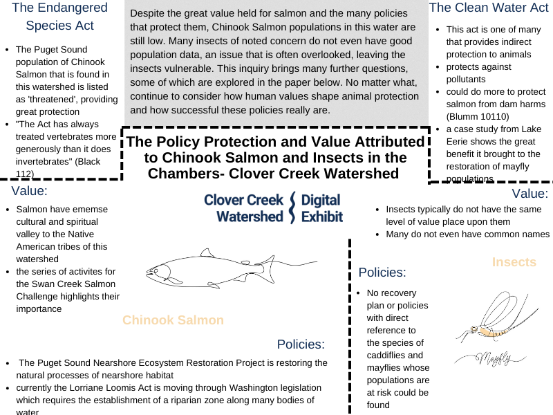 CCW Project Infographic Whalen