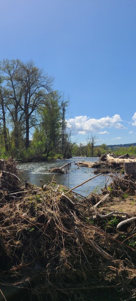 Clover Creek