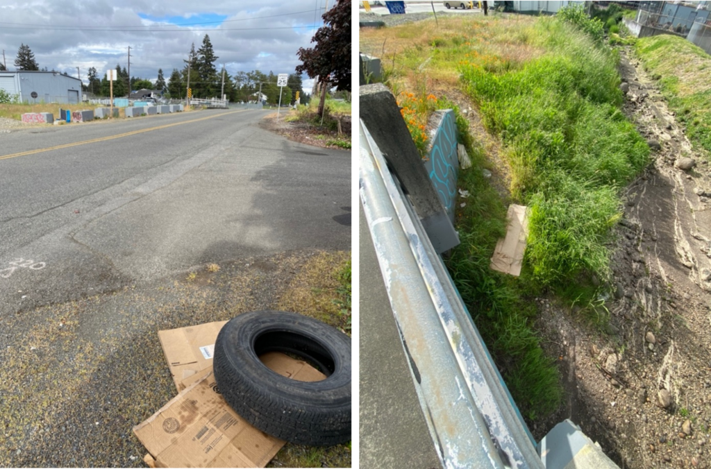 trash alongside road