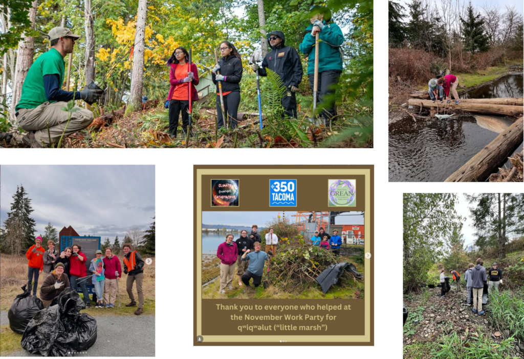 students clearing trash from nature areas