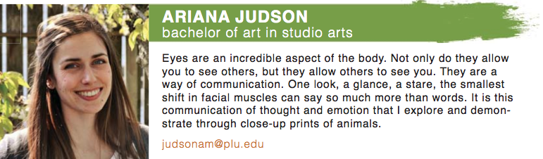 Screen Shot 2015-04-28 at 9.26.04 AM Ariana Judson banner