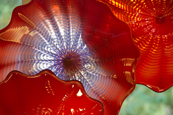 PLU Chihuly Roses detail
