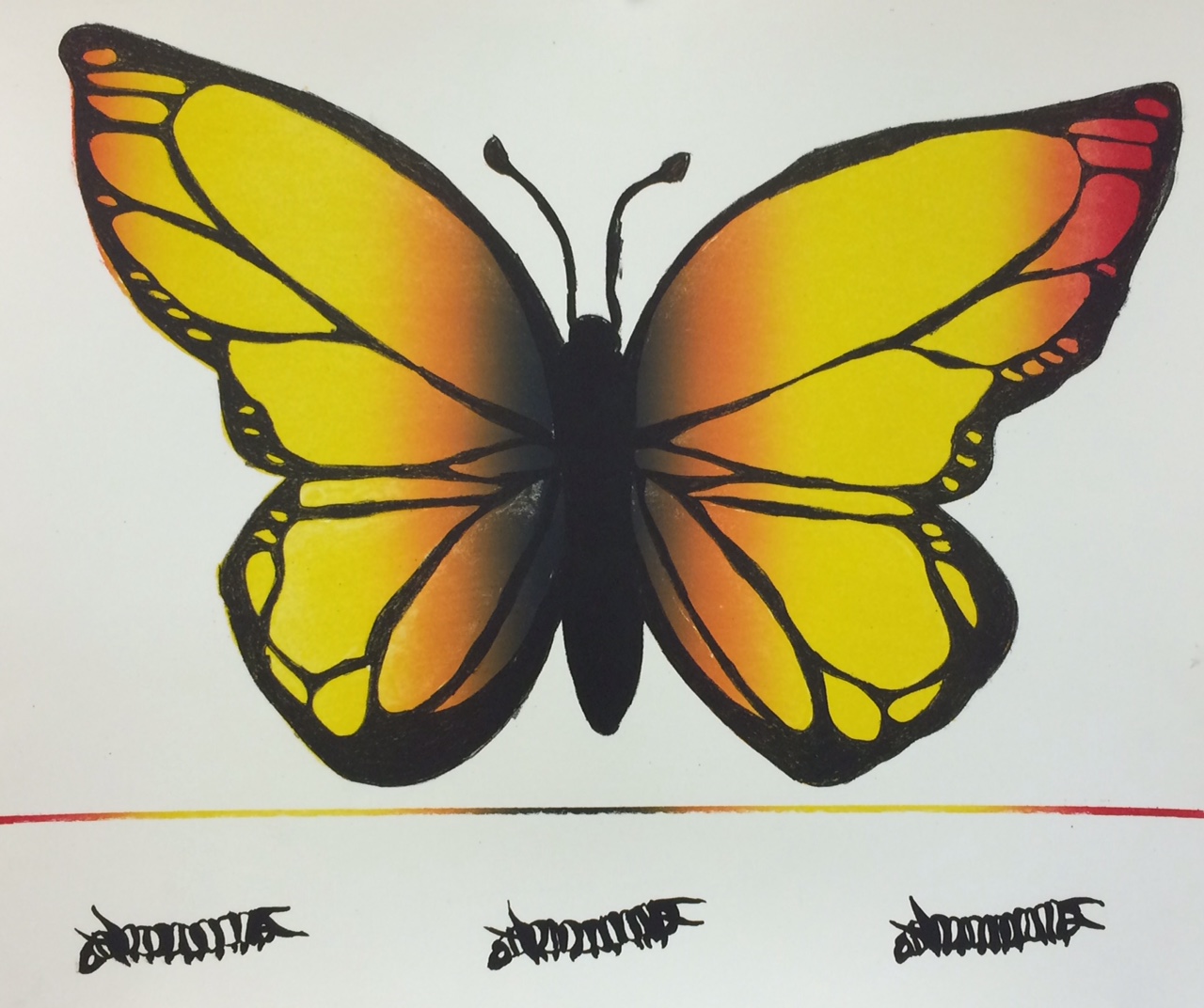 Monarch Metamorphosis by Colby Klingele