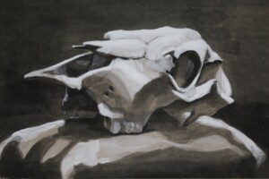 Cow's Skull in Gesso and Ink | Teagan Janes