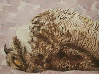 AdalineMcCormickWebPortfolio Adaline McCormick