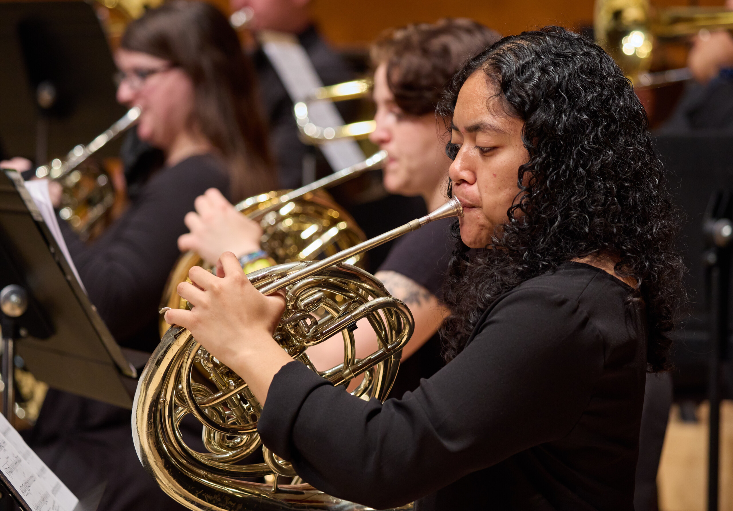 About the Ensemble Concert Band PLU