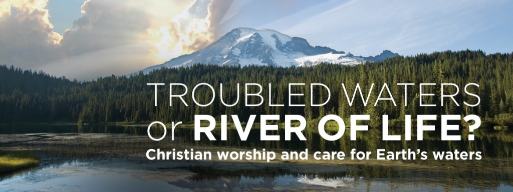 Troubled waters or river of life?