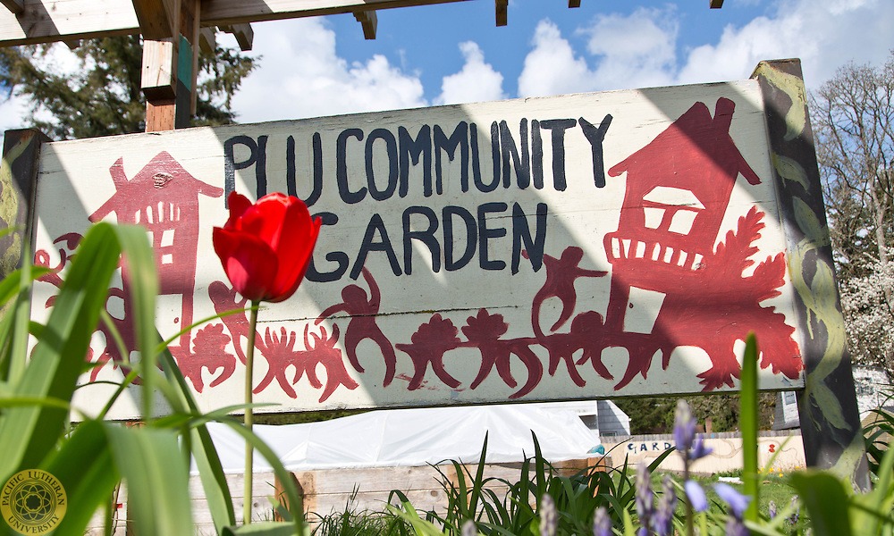 community-garden