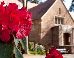 Rhododendron in front of Xavier Hall