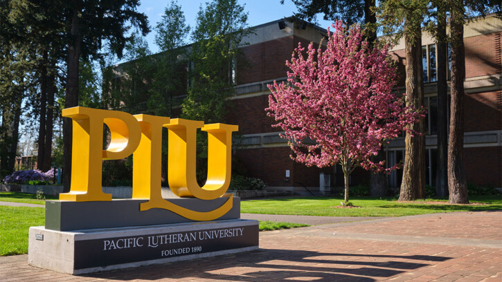 PLU sign in front of a cherry tree and the PLU library.