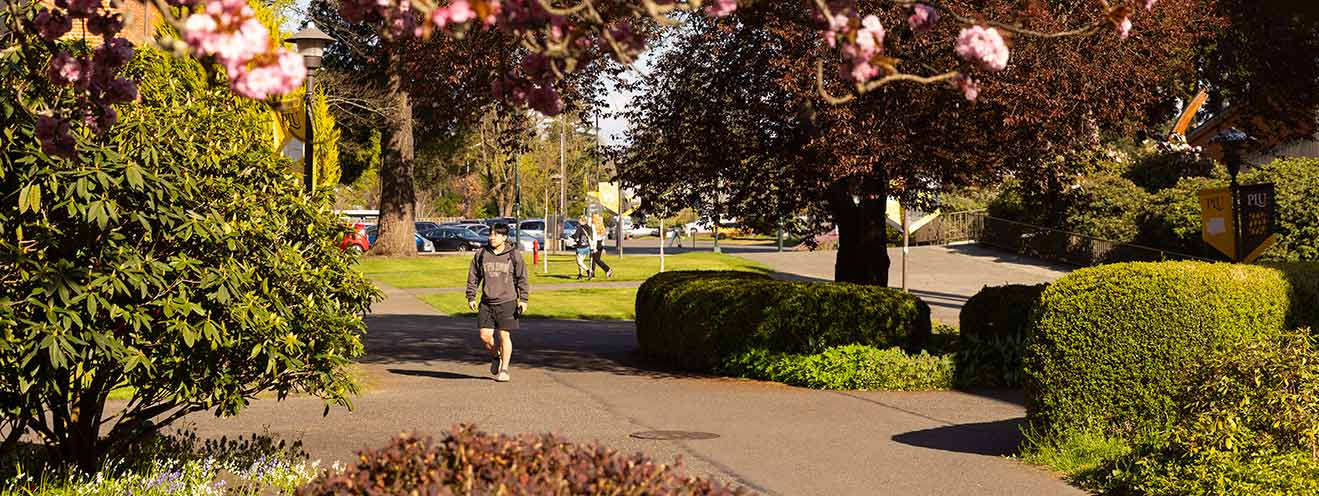 PLU campus in the spring.