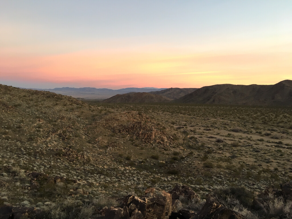 JoshuaTreeSunrise Joshua Tree