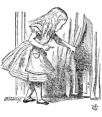 Alice in Wonderland Illustration