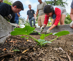 Community Gardening Community Gardening