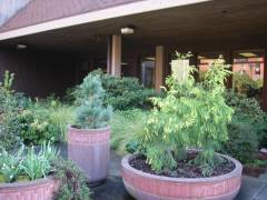 plants in front of Anderson University Center