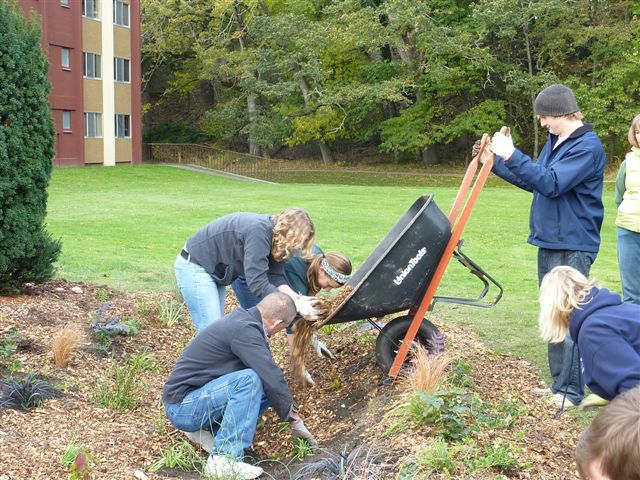 PLU Foss Rain Garden