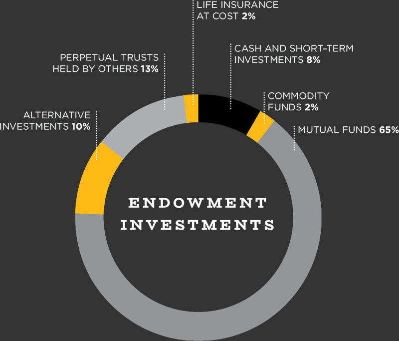 endowmentsgraph A pie chart titled Endowment Investments with sections: Mutual Funds 65%, Perpetual Trusts Held by Others 13%, Alternative Investments 10%, Cash and Short-Term Investments 8%, Commodity Funds 2%, Life Insurance at Cost 2%.