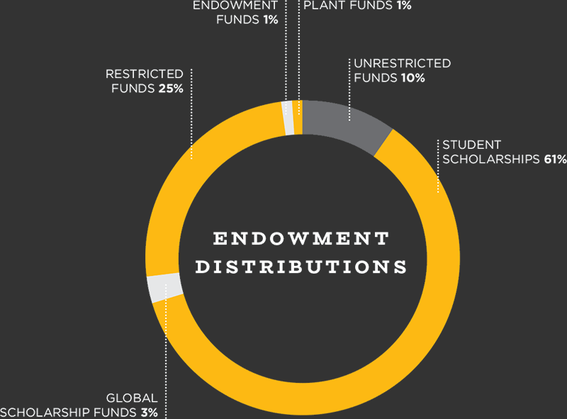 endowmentsgraph2 A circular chart labeled Endowment Distributions shows allocations: Student Scholarships 61%, Restricted Funds 25%, Unrestricted Funds 10%, Global Scholarship Funds 3%, Plant Funds 1%. The chart has a dark background.