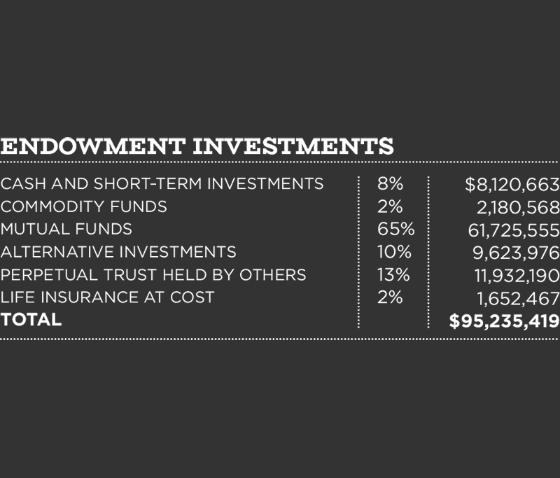 endowmentstext Chart showing endowment investments. Categories: Cash and Short-Term 8% $8.1M, Commodity Funds 2% $2.1M, Mutual Funds 65% $61.7M, Alternative Trust 10% $9.6M, Perpetual Trust 13% $11.9M, Life Insurance 2% $1.6M. Total: $95.2M.