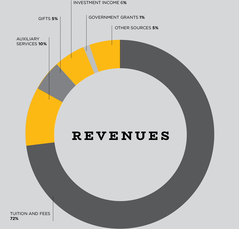 revenuesgraph A doughnut chart displays revenue sources: tuition and fees at 72%, auxiliary services 10%, investment income 6%, gifts 5%, government grants 1%, and other sources 5%. The chart has bold black text on a gray background.