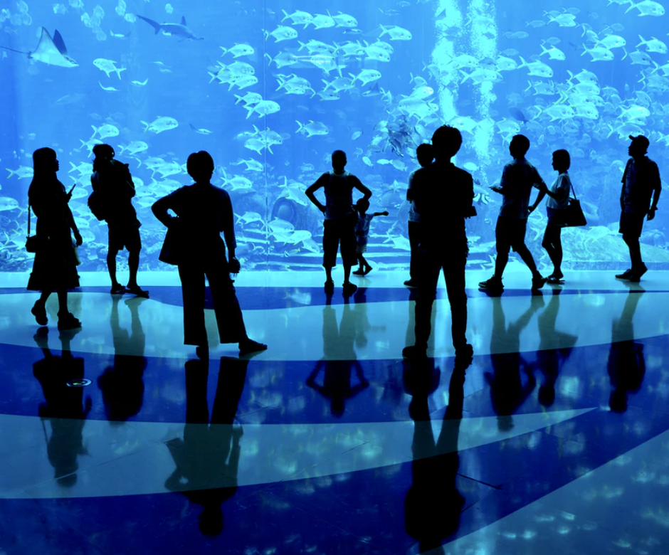 In an aquarium where people looking at schools of fish.
