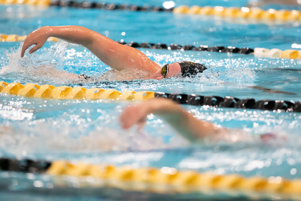 image of swimmers in PLU pool