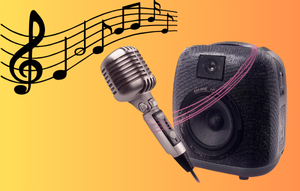 Image of microphone and speaker